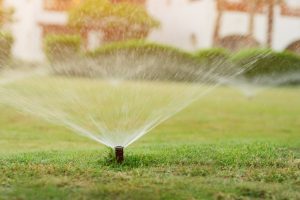 Sprinkler Startups for Groton, Massachusetts