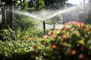 Spring Sprinkler Start-up near Leominster, Massachusetts