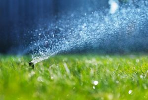 Fall Maintenance for Your Irrigation System near Shirley, Massachusetts